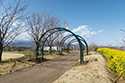 ゲート　花菜ガーデン（神奈川県立花と緑のふれあいセンター）