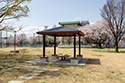 史跡武蔵国分寺跡　発注：国分寺市（東京都）