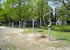 猿江恩賜公園／東京都江東区