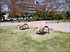 バックボウベンチ 小菅西公園／東京都葛飾区