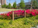 園名板　千石二丁目公園　発注：東京都／東京都江東区