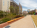 築地川公園　発注：中央区（東京都）